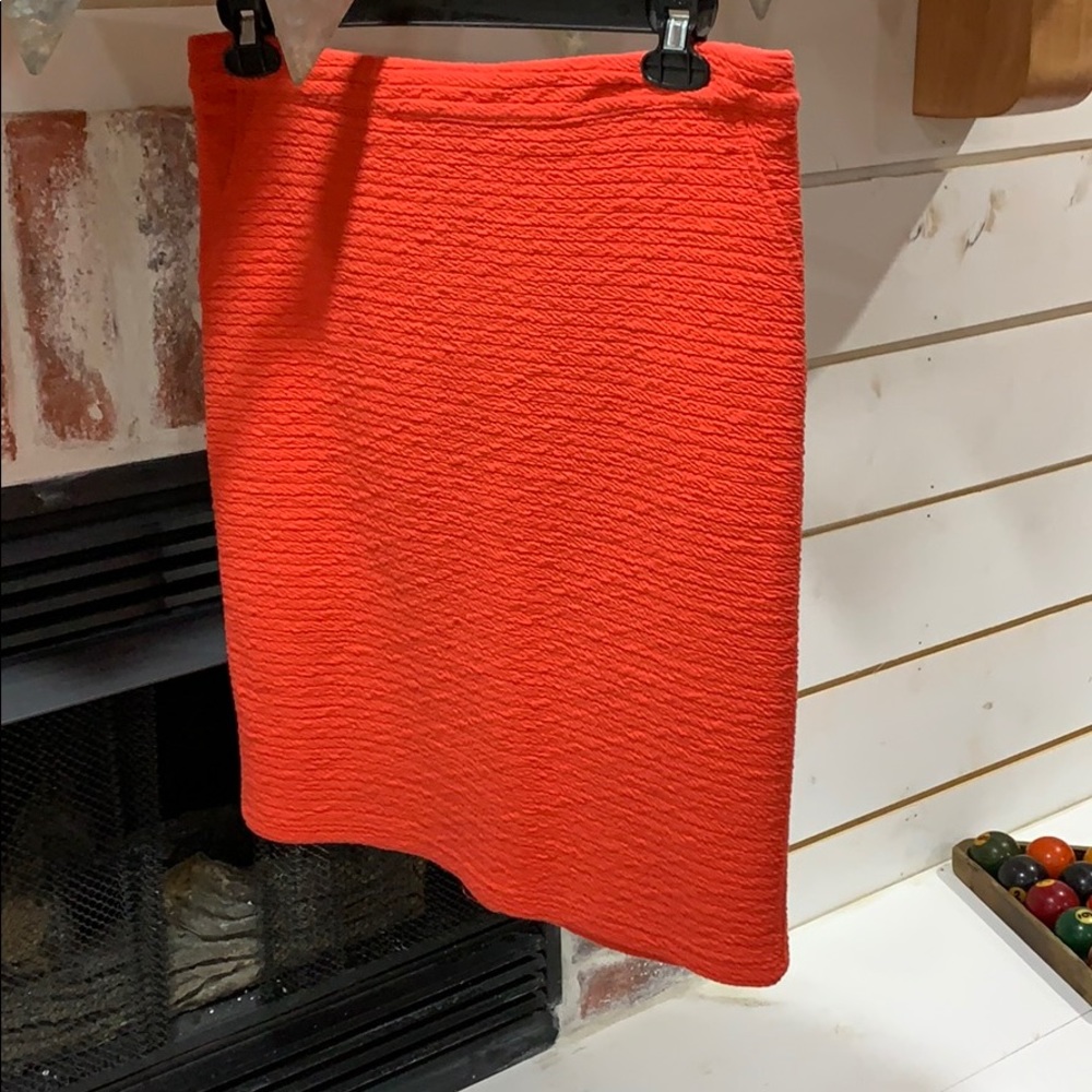 Knee Length Skirt